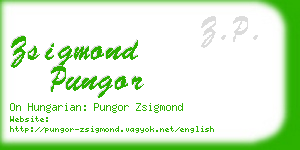 zsigmond pungor business card